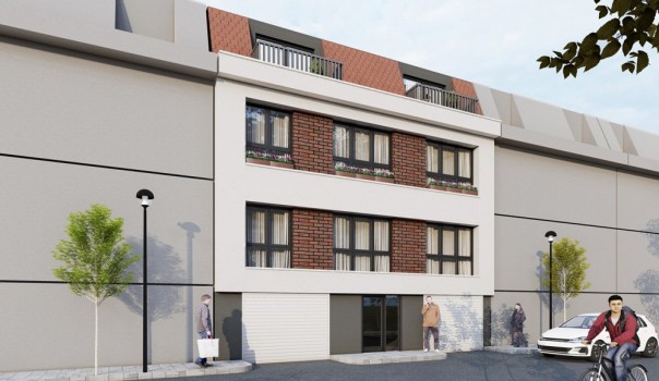 Kanarya Sarmaşığı Sokak Projesi