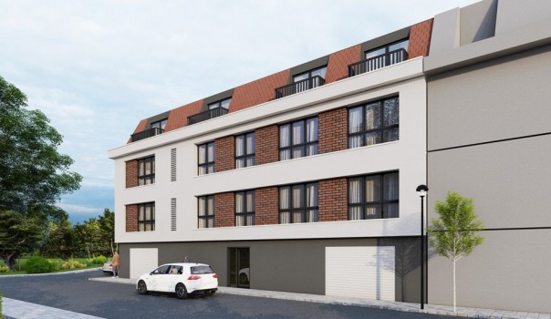 Papatyalar - Canlar Sokak Projesi