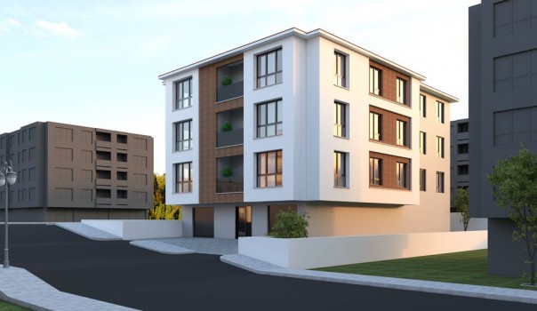 Sözlü Sokak Projesi